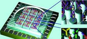 人类健康的侦察兵:什么是生物芯片