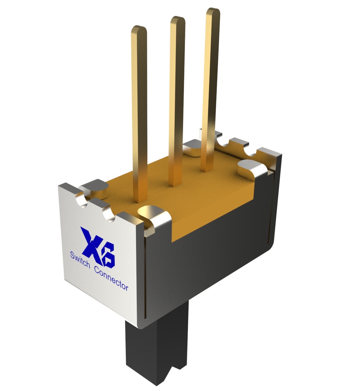 XB-SS-12D09-L