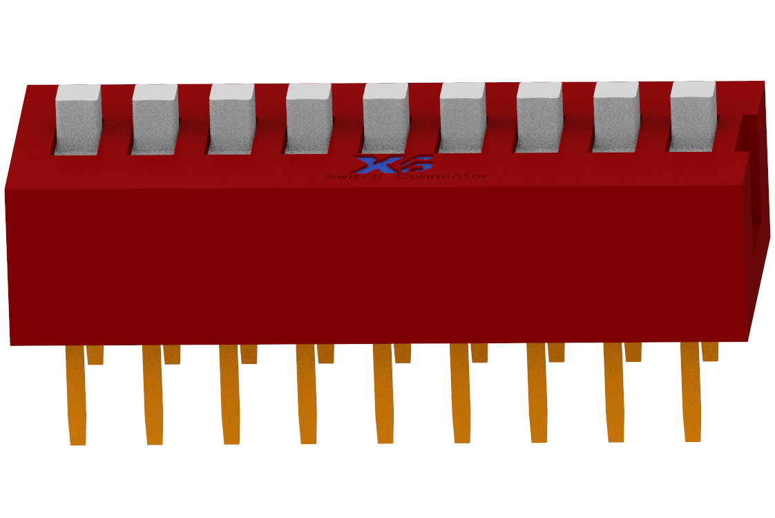 XB-DS-09BLP