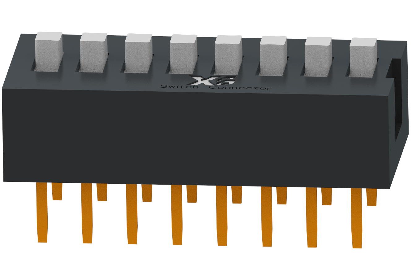 XB-DS-08RP