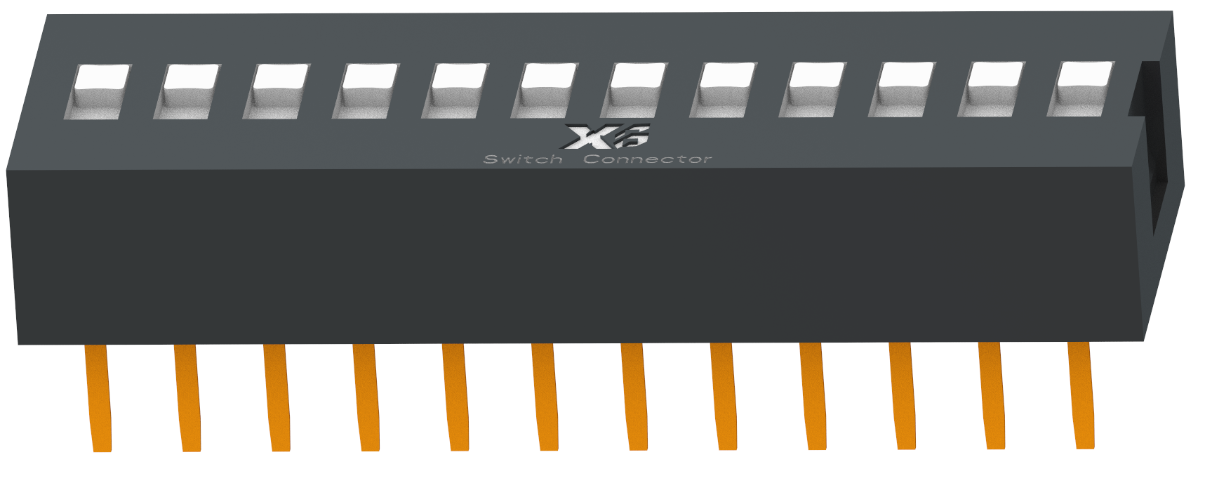 XB-DS-12RS