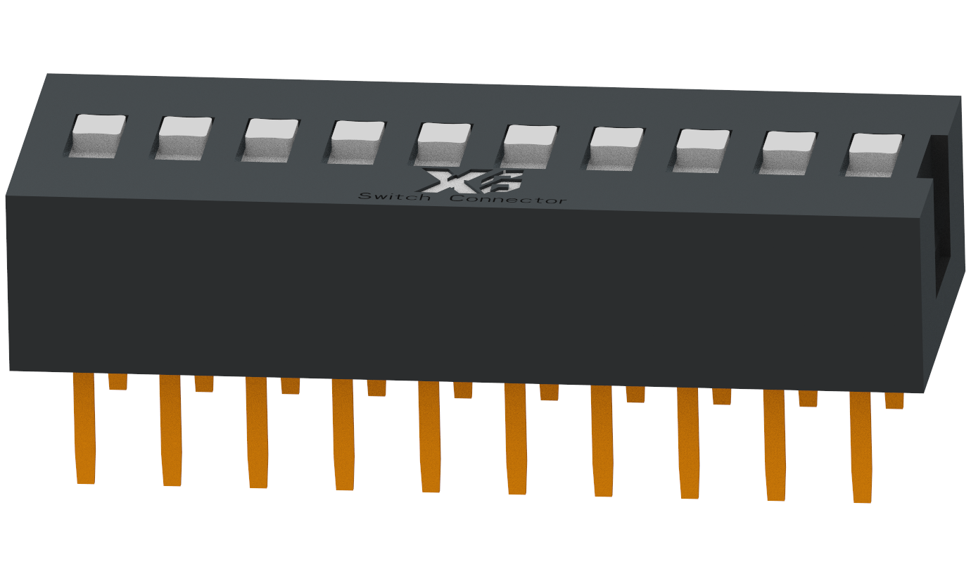 XB-DS-10RS