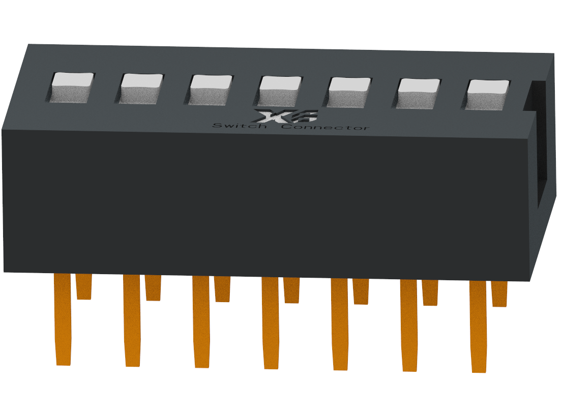 XB-DS-07RS