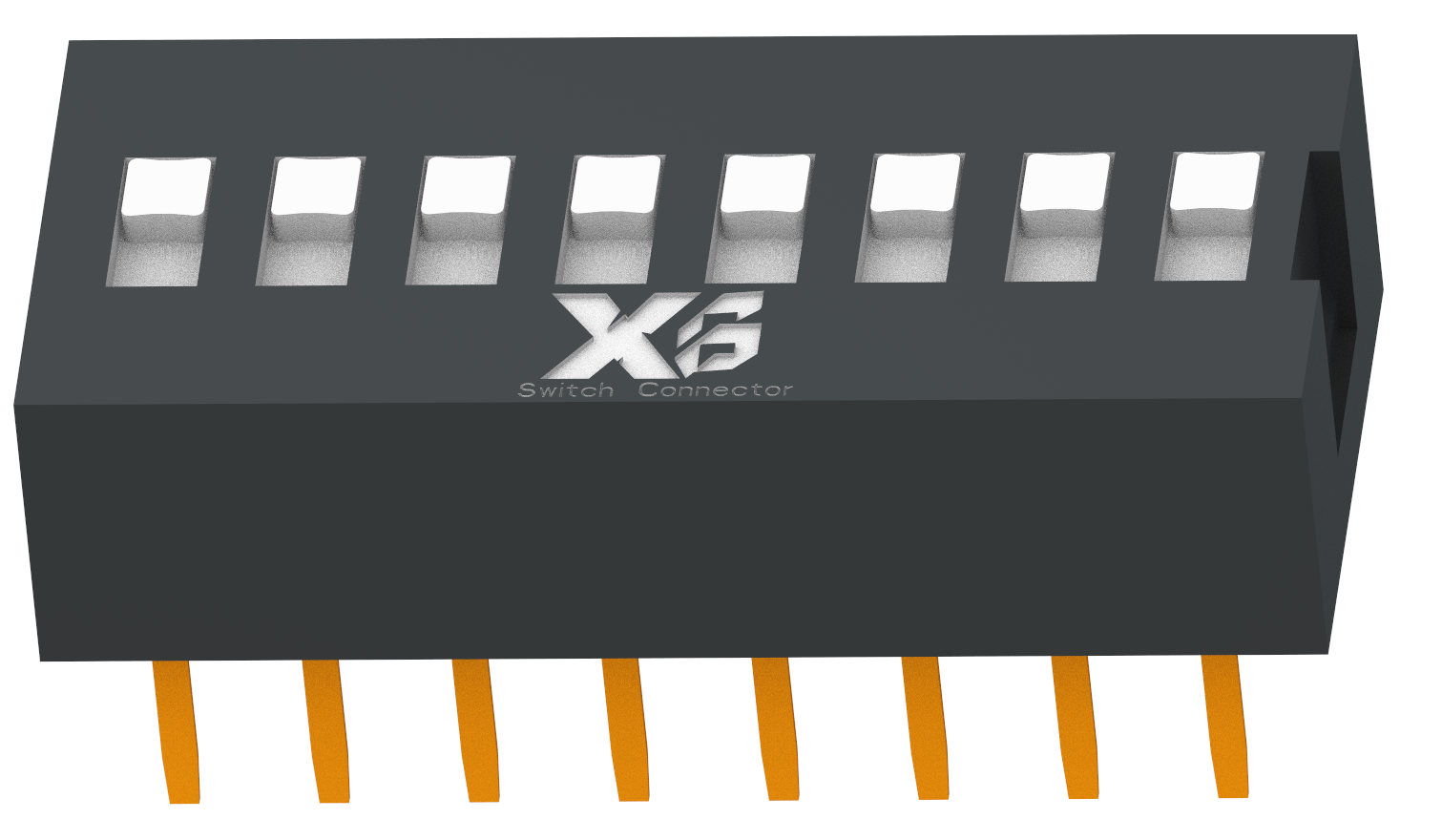 XB-DS-08RS