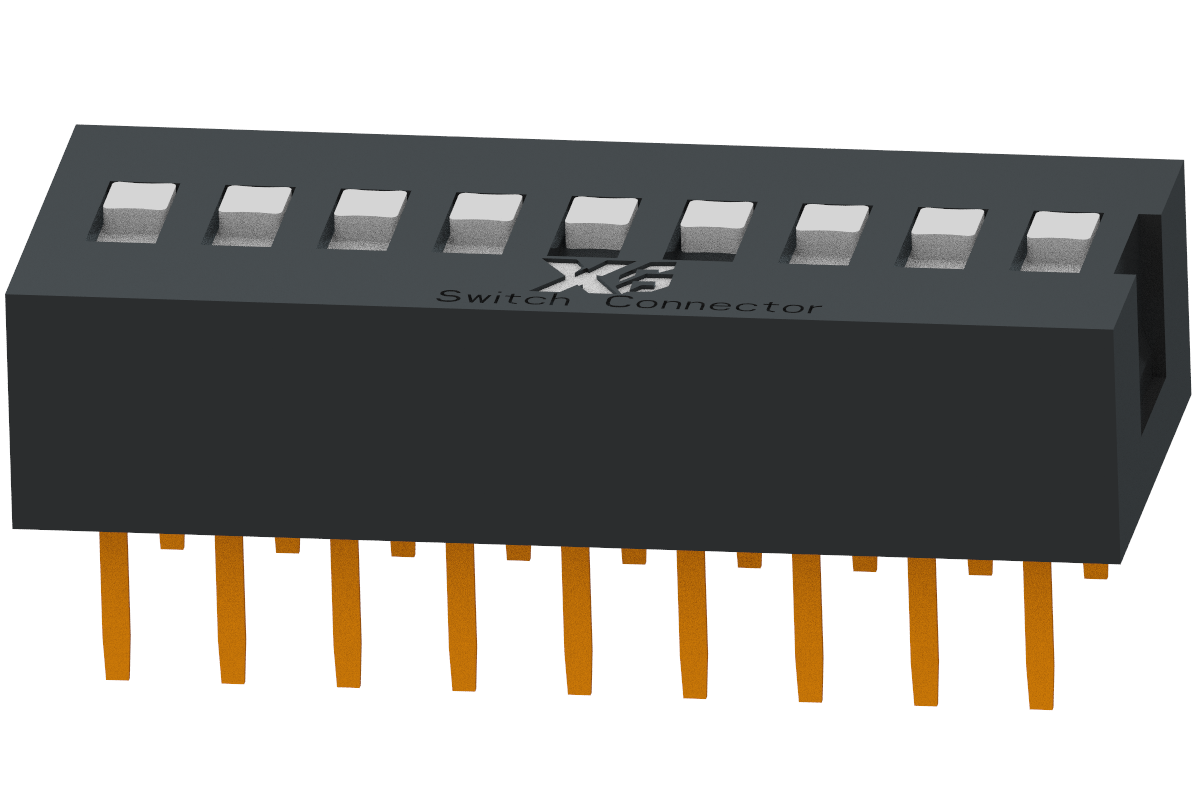 XB-DS-09RS