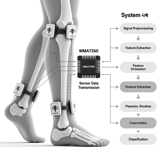 加速度传感器MMA7260在步态特征提取中的应用