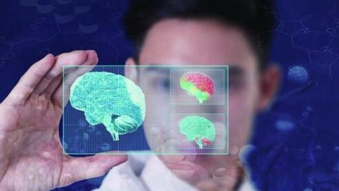 探秘人脑超级芯片 上海脑智产业年投入逾10亿
