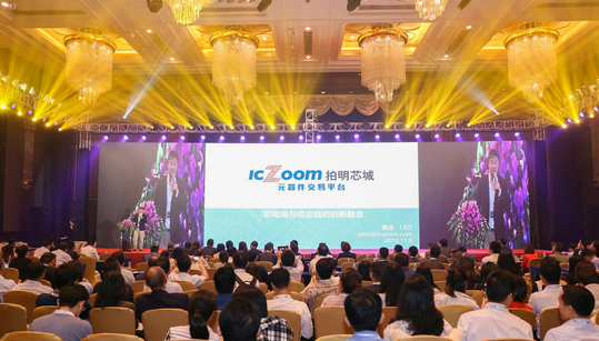Xia Lei from ICZOOM: Five Major Weak Points of MSMEs