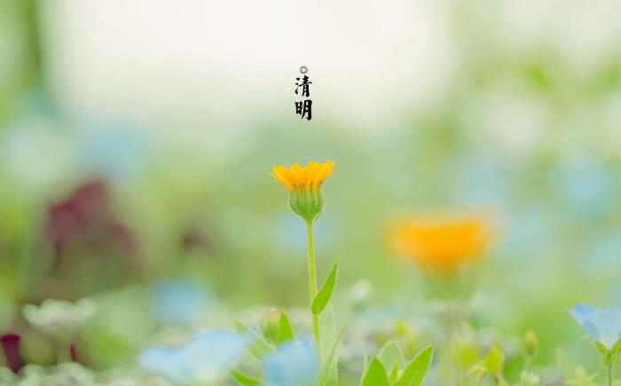 2019年拍明芯城清明节放假通知