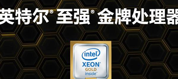 Intel推出新黄金U系列单路至强，应对无“Intel税”的AMD霄龙
