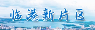 上海临港发布第三代半导体支持政策：建设世界级 “东方芯港”
