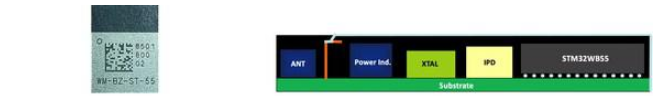 环旭电子为小型物联网设备推出双核蓝牙5.0天线封装模块