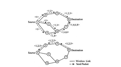 基于DSR路由协议的PMP网络和Mesh网络的特点及应用比较
