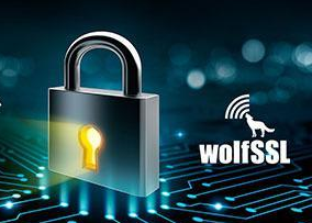 瑞萨电子与wolfSSL联手打造基于嵌入式TLS协议栈的 即用型物联网安全解决方案