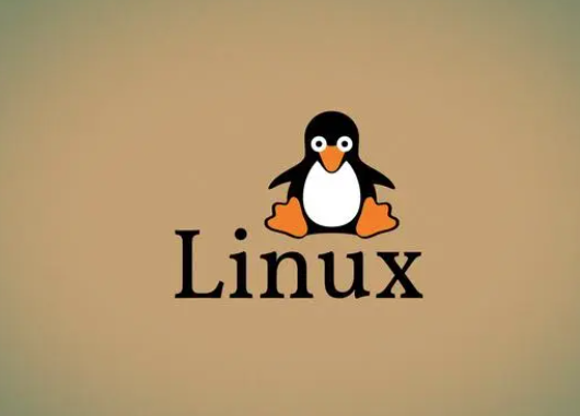 Linux环境配置：软件安装、网络配置、用户管理和系统优化