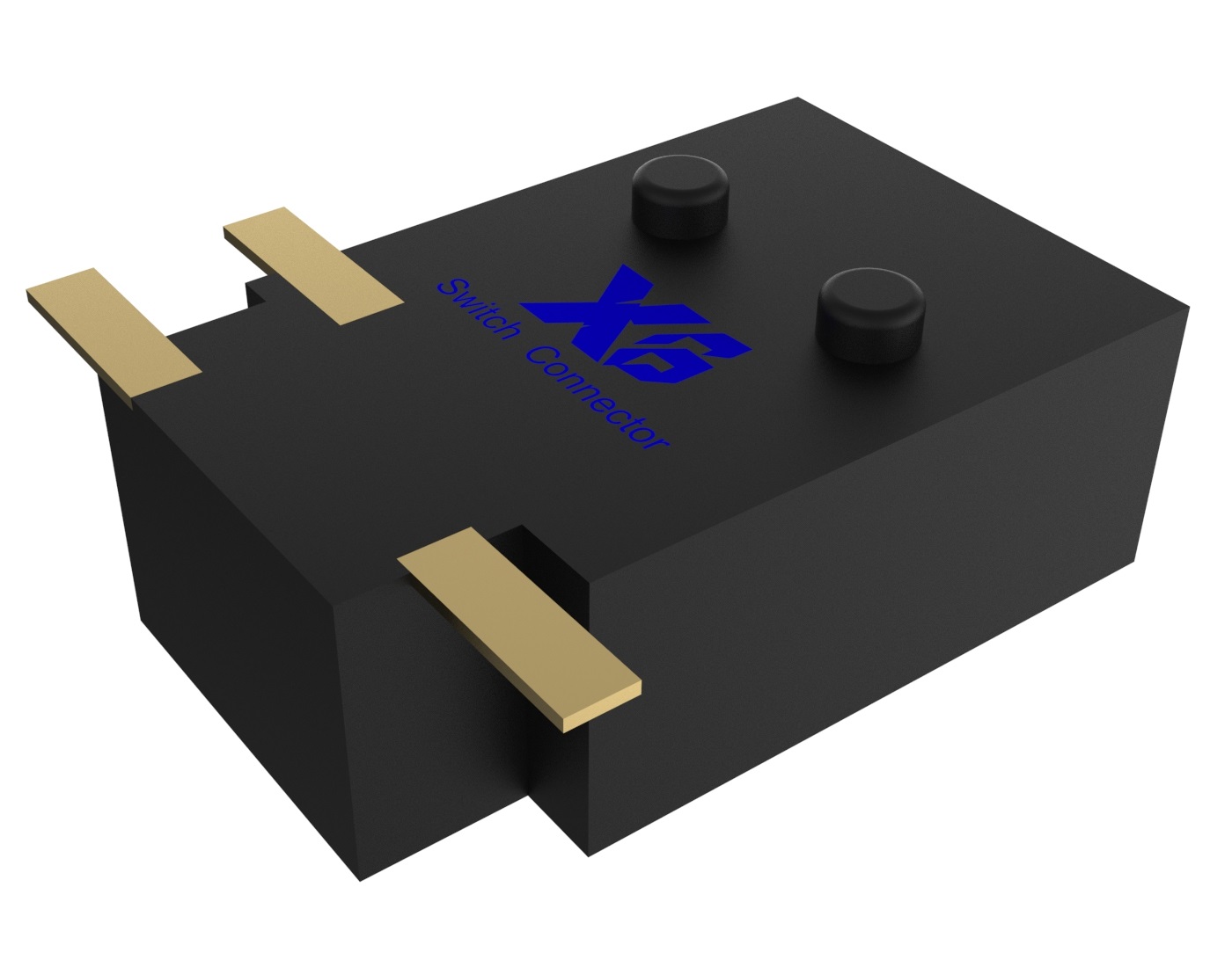 XB-DS-010