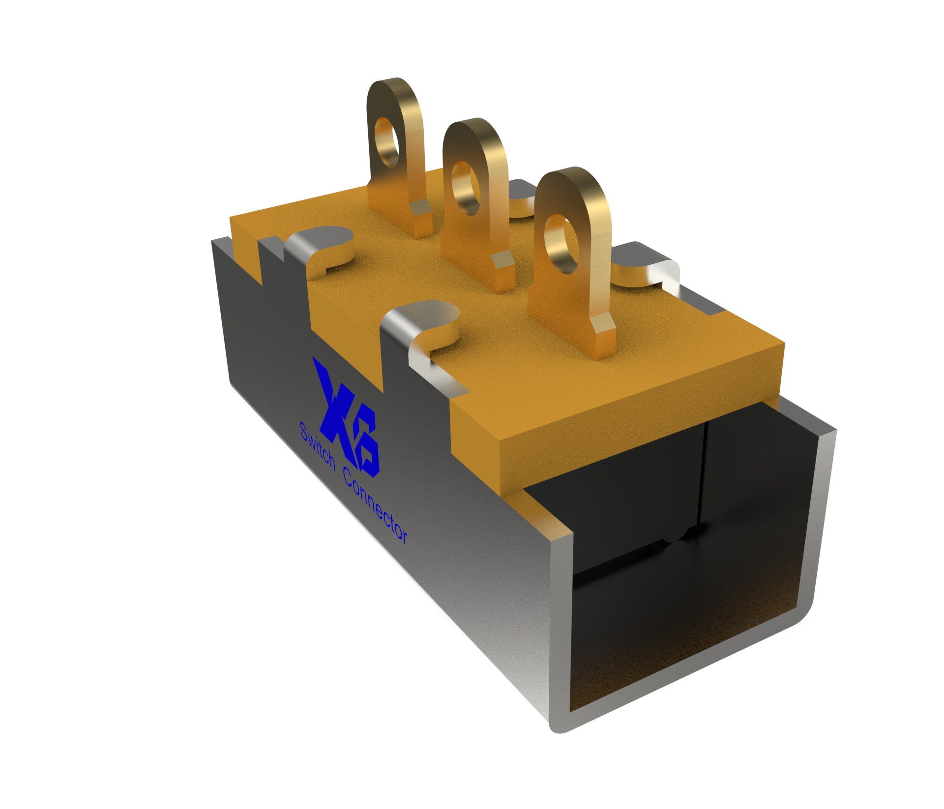 XB-SS-12F98-L