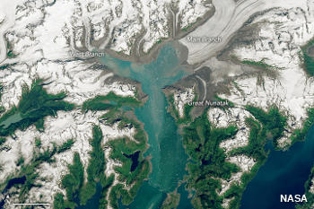 阿拉斯加哥伦比亚冰川融化的陆地卫星照片