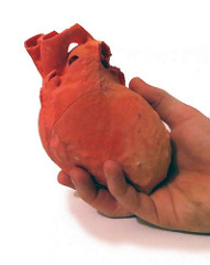 医生手中握着的3D打印人类心脏