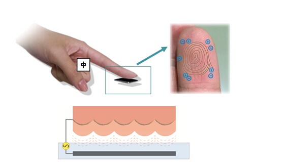 新型指纹识别芯片技术的应用与发展2