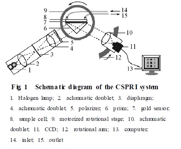 CSPR I仪器的示意图
