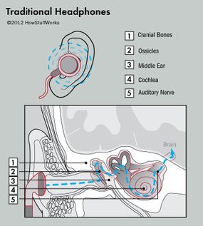 耳塞通过外耳、鼓膜和耳蜗传递声音。 
