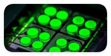 QQ_1738830380352.png