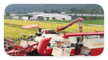 QQ_1751009048417.png